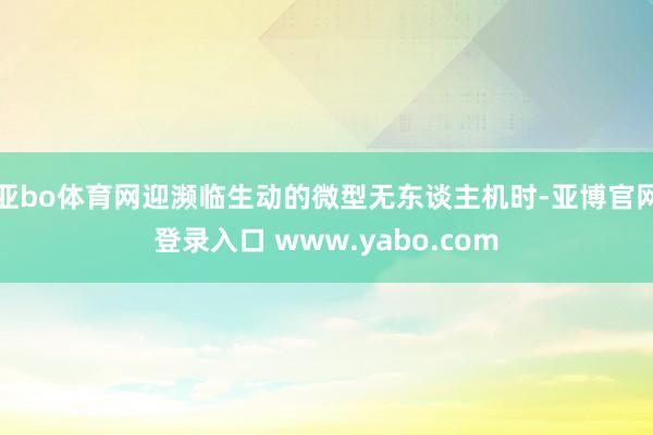 亚bo体育网迎濒临生动的微型无东谈主机时-亚博官网登录入口 www.yabo.com