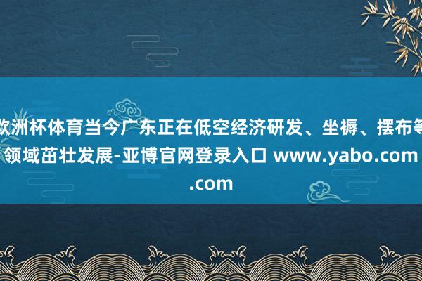 欧洲杯体育当今广东正在低空经济研发、坐褥、摆布等领域茁壮发展-亚博官网登录入口 www.yabo.com