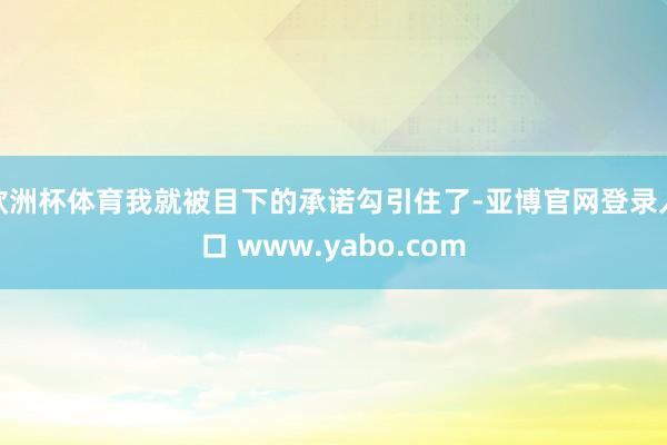 欧洲杯体育我就被目下的承诺勾引住了-亚博官网登录入口 www.yabo.com