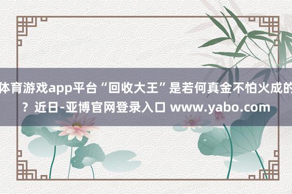 体育游戏app平台“回收大王”是若何真金不怕火成的？近日-亚博官网登录入口 www.yabo.com