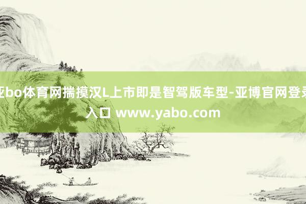 亚bo体育网揣摸汉L上市即是智驾版车型-亚博官网登录入口 www.yabo.com