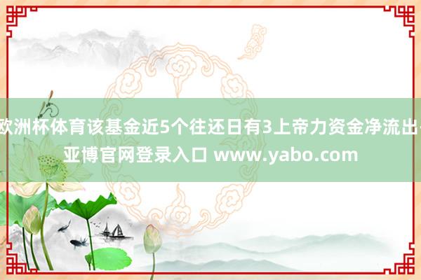 欧洲杯体育该基金近5个往还日有3上帝力资金净流出-亚博官网登录入口 www.yabo.com