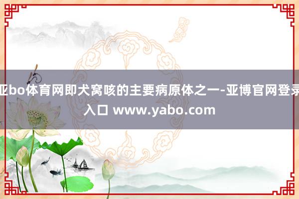 亚bo体育网即犬窝咳的主要病原体之一-亚博官网登录入口 www.yabo.com