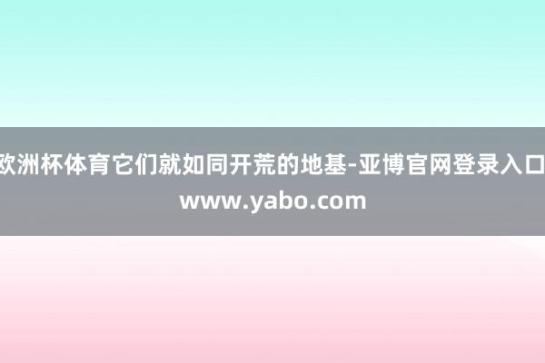 欧洲杯体育它们就如同开荒的地基-亚博官网登录入口 www.yabo.com