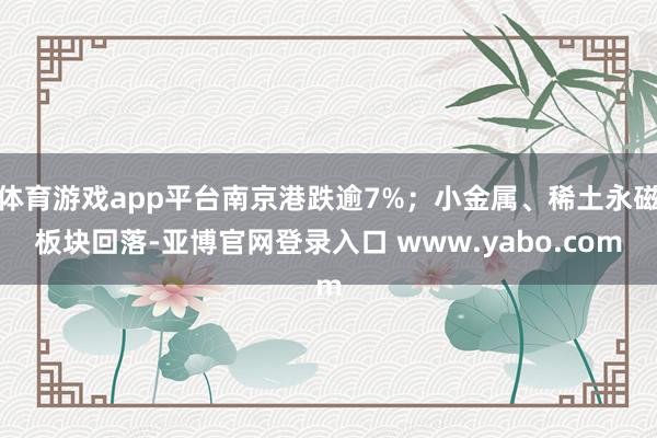 体育游戏app平台南京港跌逾7%；小金属、稀土永磁板块回落-亚博官网登录入口 www.yabo.com