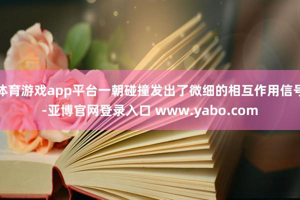 体育游戏app平台一朝碰撞发出了微细的相互作用信号-亚博官网登录入口 www.yabo.com