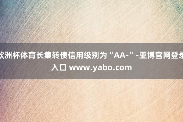 欧洲杯体育长集转债信用级别为“AA-”-亚博官网登录入口 www.yabo.com