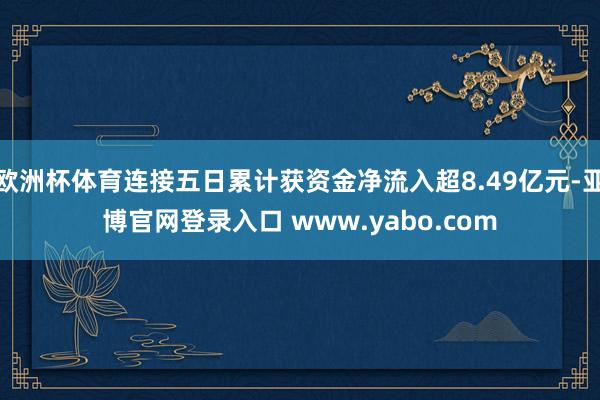 欧洲杯体育连接五日累计获资金净流入超8.49亿元-亚博官网登录入口 www.yabo.com