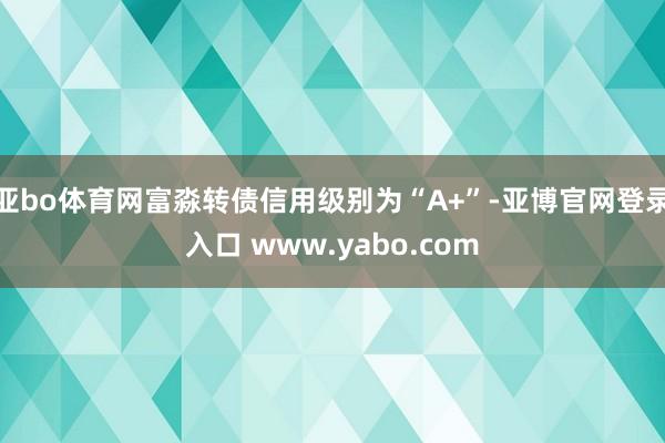 亚bo体育网富淼转债信用级别为“A+”-亚博官网登录入口 www.yabo.com
