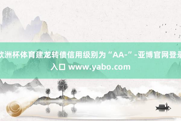 欧洲杯体育建龙转债信用级别为“AA-”-亚博官网登录入口 www.yabo.com
