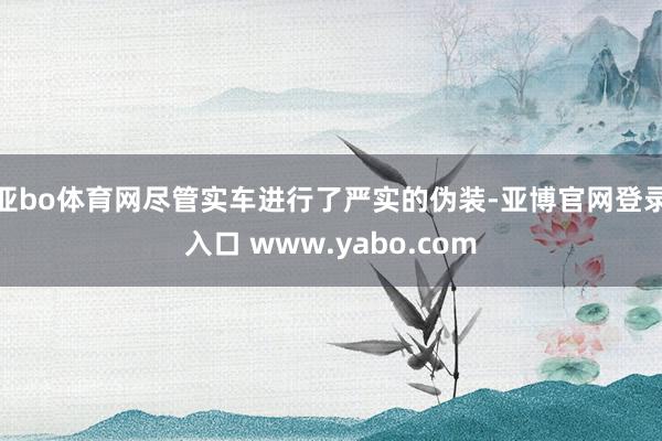 亚bo体育网尽管实车进行了严实的伪装-亚博官网登录入口 www.yabo.com