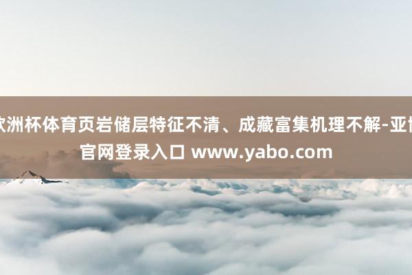 欧洲杯体育页岩储层特征不清、成藏富集机理不解-亚博官网登录入口 www.yabo.com