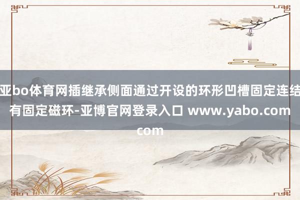 亚bo体育网插继承侧面通过开设的环形凹槽固定连结有固定磁环-亚博官网登录入口 www.yabo.com